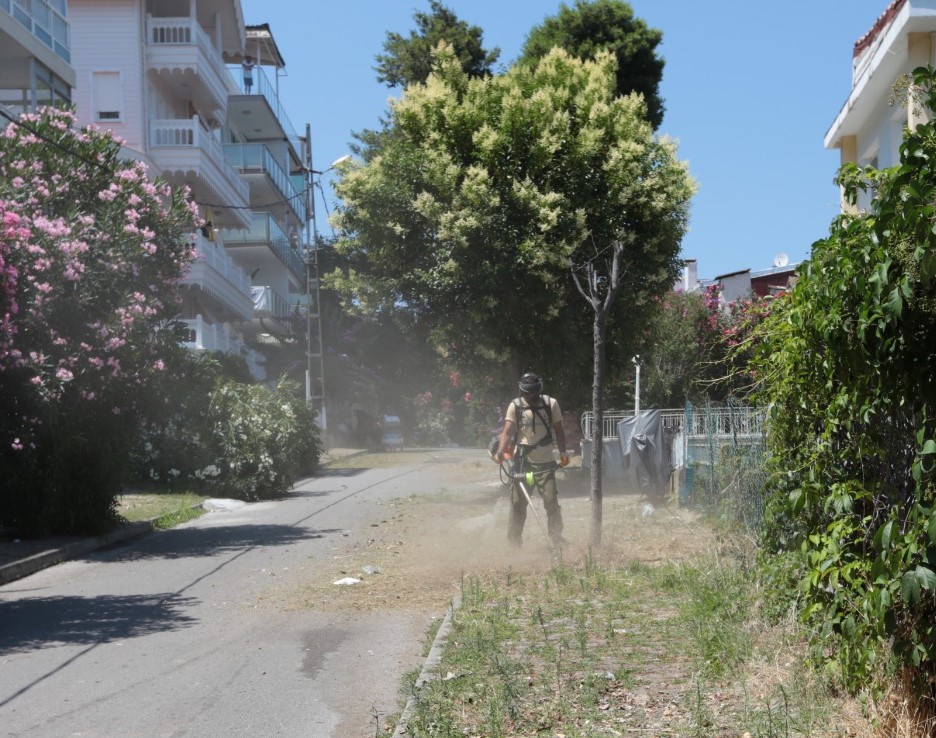 Ibb Park Bahceler Daire Baskanligi Adalar Da Calismalarini Surduruyor Sehir Planlama Mudurlugu